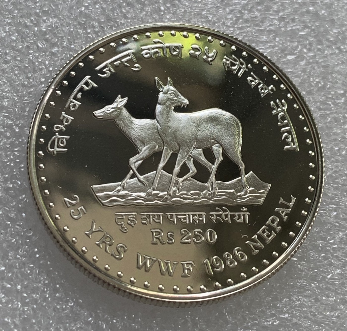 瓶子🏺第108期拍卖会  尼泊尔1986年250瑞尔精制保护动物系列纪念银币 梅花鹿