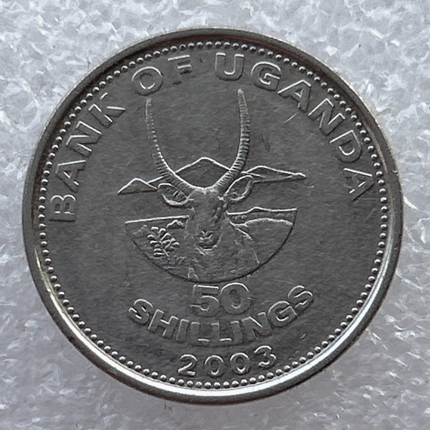 全场一元起拍 世界钱币散币场 第22期 乌干达2003年 动物