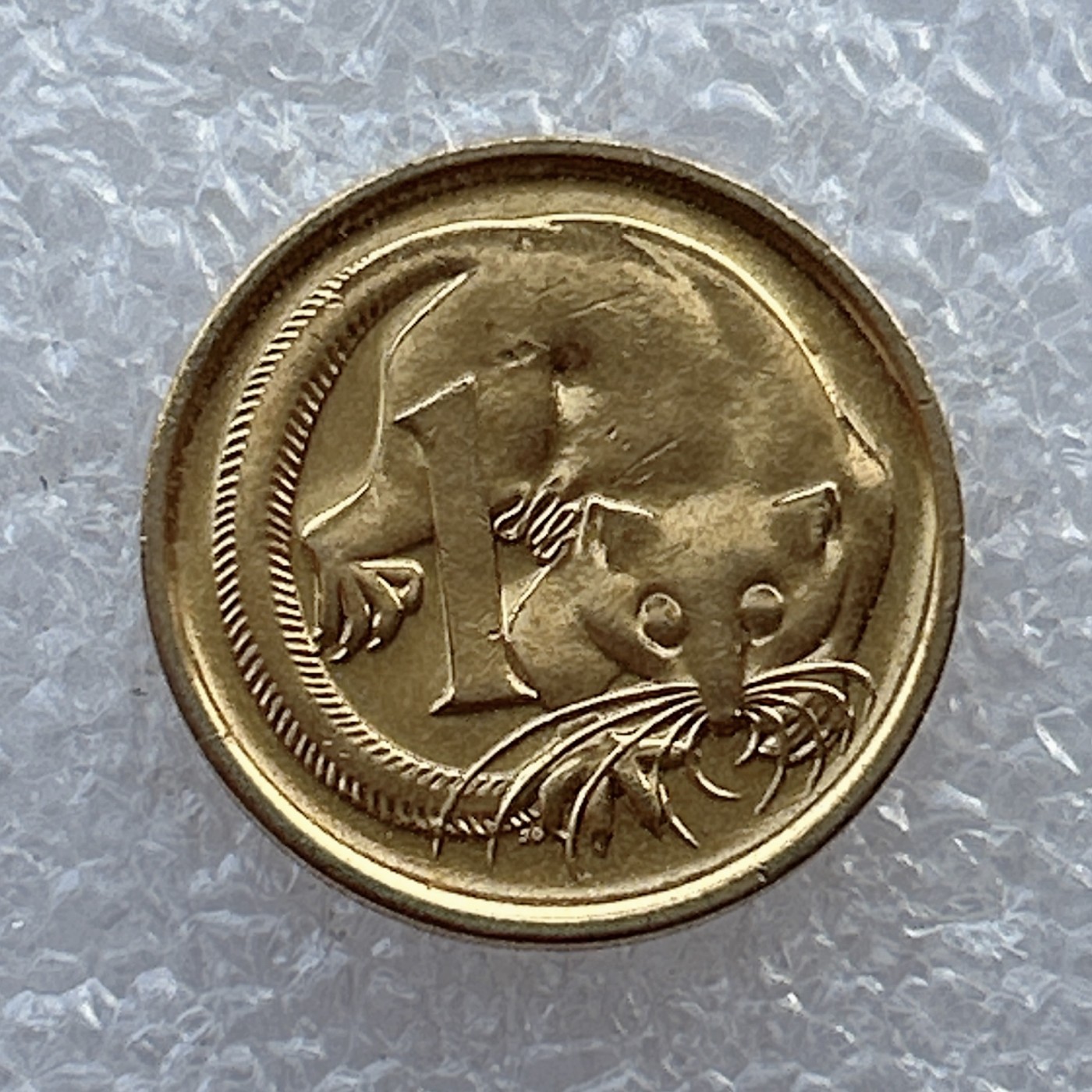 全场一元起拍 世界钱币散币场 第22期 澳大利亚1989年1分 鼯鼠