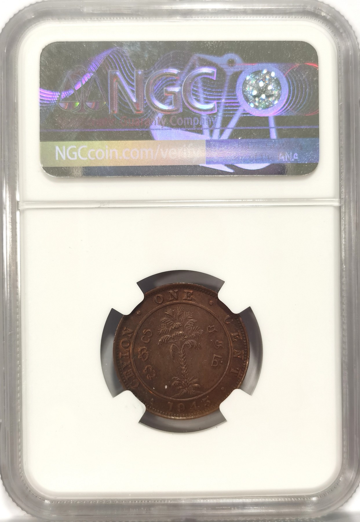 博洋堂世界钱币拍卖第042期周六场（全场包邮）本周五、周六二场连拍 NGC MS63/62/64三枚一组 英属锡兰1945年1分+比利时1953年50分+英国1963年1便士铜币 高分包浆醇厚，三种不同的铜光包浆，趣味性强，性价比高