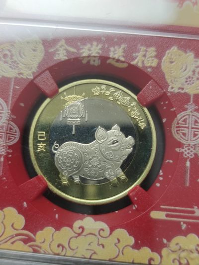 燕姐换藏第58拍 中国2019年己亥年10元纪念币