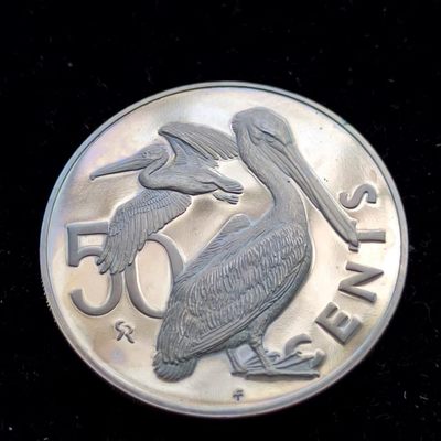 【淘币小摊】第一百七十一拍  散币场 周四至周日 四连拍   满百包邮 - 英属维尔京1973年50分精制