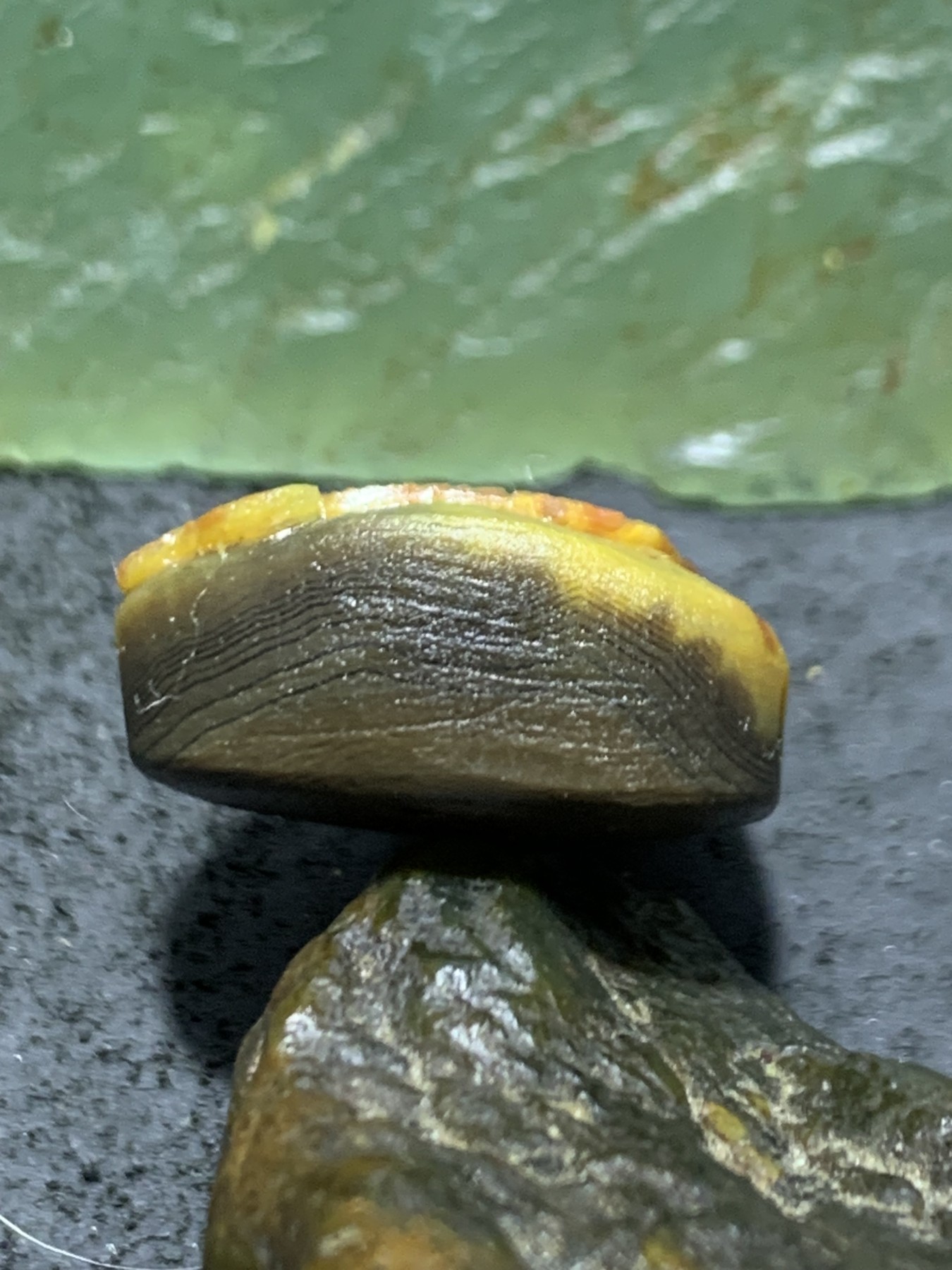 精美亚光战国红玛瑙手工俏色巧雕富贵有鱼一体佛头三通一个