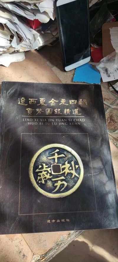 辽西夏金元四朝货币图录精选（9品左右） - 辽西夏金元四朝货币图录精选（9品左右）