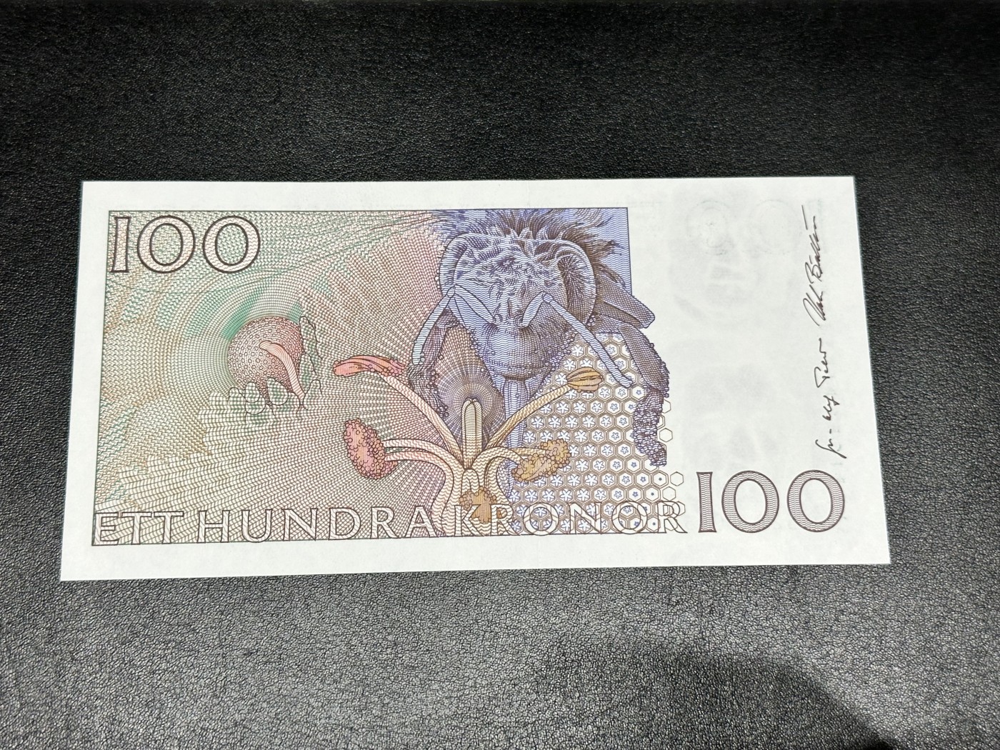 《外钞收藏家》第二百九十七期（连拍第二场）（欧洲五国专场） 瑞典1998年100克朗 初版 全新UNC