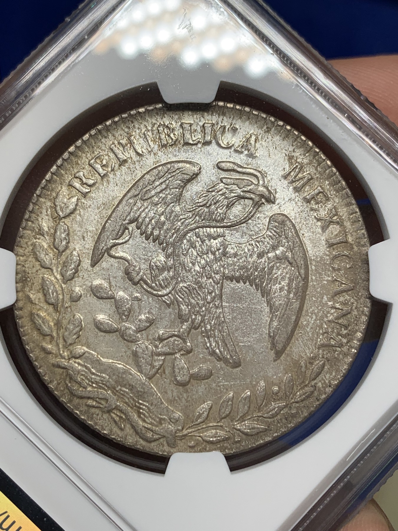 《竞宝斋》第196场-周日，周一 2场 (全场包邮) NGC-AUD 墨西哥1886年Ca厂花边鹰洋8里亚尔银币 原味状态 全羽鹰