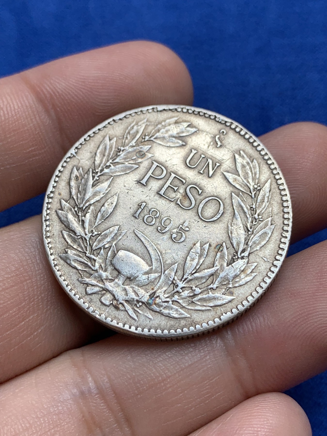 《竞宝斋》第196场-周日，周一 2场 (全场包邮) 1895年智利秃鹫1比索银币 改版后的首年版 有奥斯卡·罗蒂大师署名 被ngc判改变外表