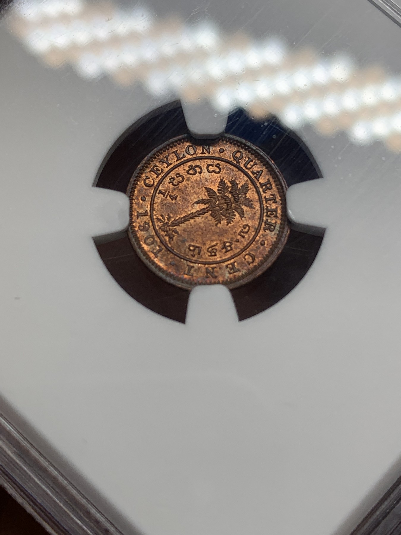 《竞宝斋》第196场-周日，周一 2场 (全场包邮) NGC-MS64RB 季军分 英属锡兰小维1/4分铜币，RB铜光靓丽，年轻女王头像，发丝细节完美。更高分仅3枚。