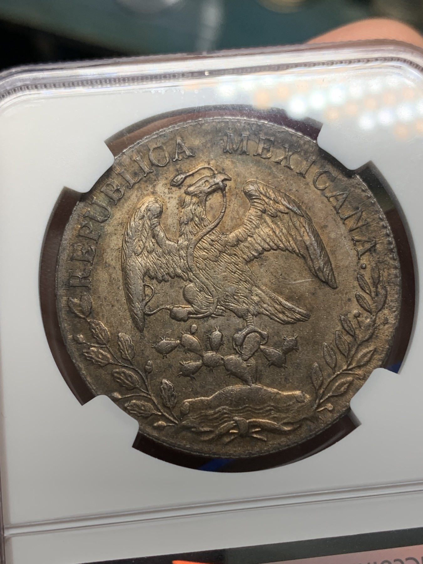 《竞宝斋》第196场-周日，周一 2场 (全场包邮) NGC-AUD 墨西哥 1888年 8R 鹰洋银币 稀少年份 深彩包浆 细节不错