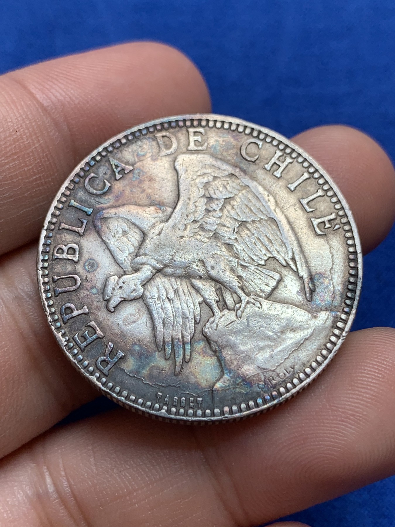 《竞宝斋》第196场-周日，周一 2场 (全场包邮) 1895年智利秃鹫1比索银币 改版后的首年版 有奥斯卡·罗蒂大师署名 被ngc判改变外表