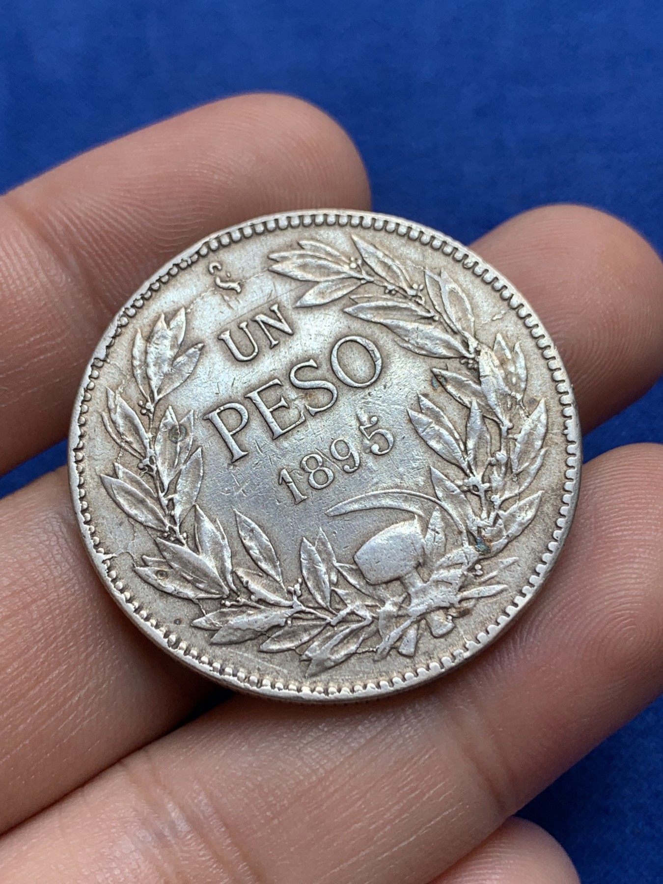 《竞宝斋》第196场-周日，周一 2场 (全场包邮) 1895年智利秃鹫1比索银币 改版后的首年版 有奥斯卡·罗蒂大师署名 被ngc判改变外表