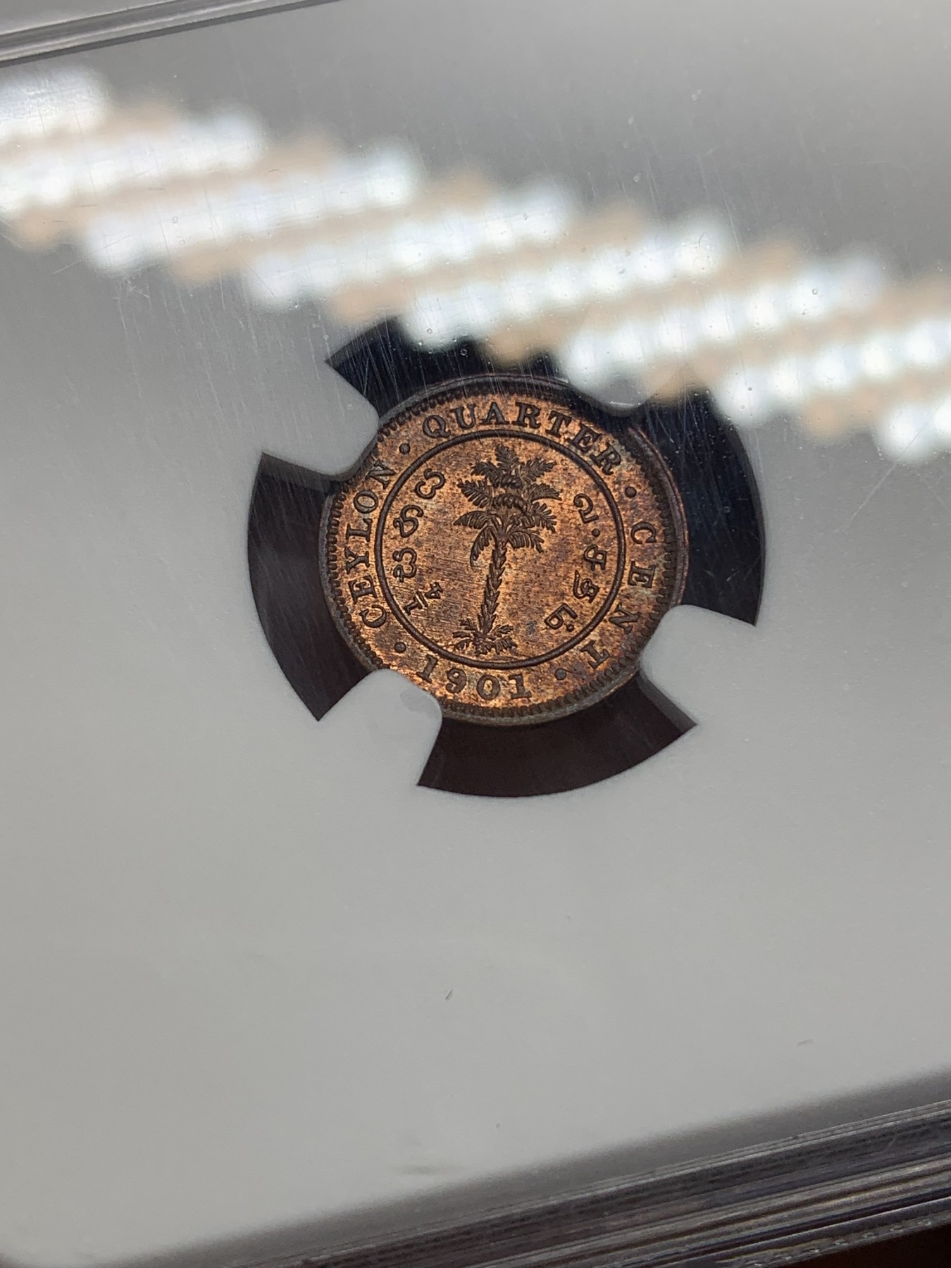 《竞宝斋》第196场-周日，周一 2场 (全场包邮) NGC-MS64RB 季军分 英属锡兰小维1/4分铜币，RB铜光靓丽，年轻女王头像，发丝细节完美。更高分仅3枚。