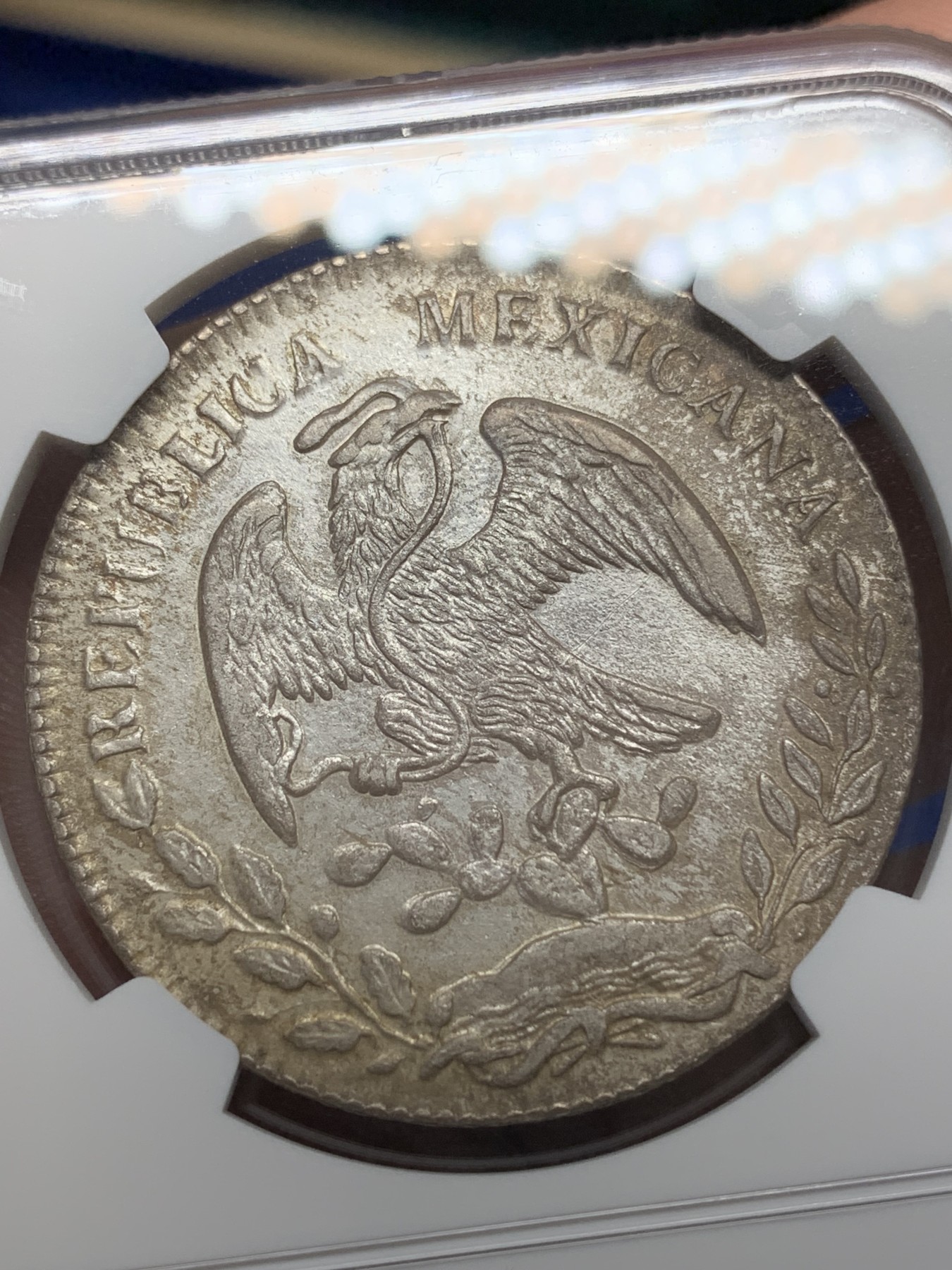 《竞宝斋》第196场-周日，周一 2场 (全场包邮) NGC-AUD 墨西哥1886年Ca厂花边鹰洋8里亚尔银币 原味状态 全羽鹰