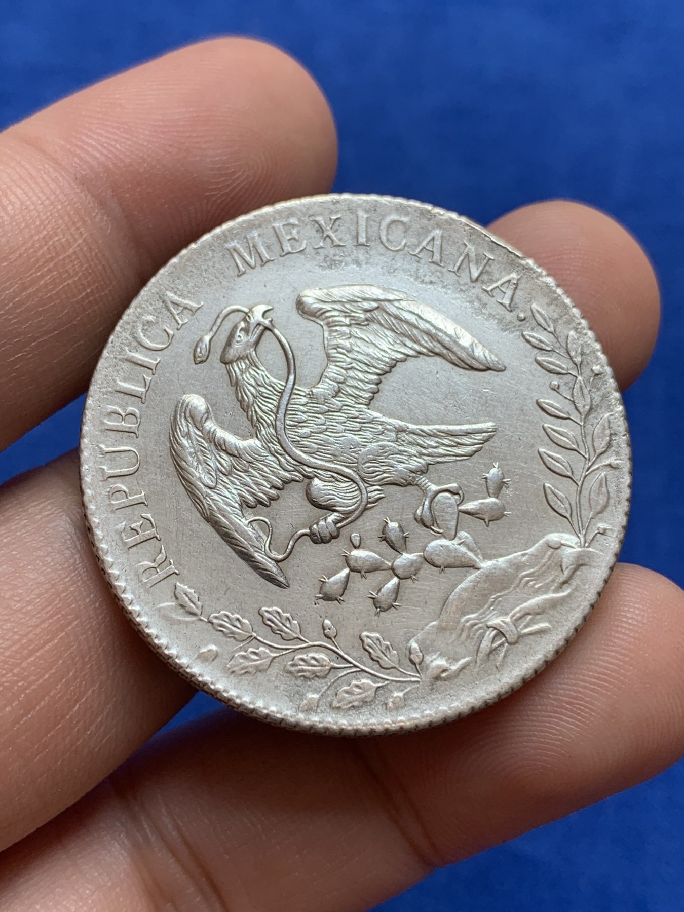 《竞宝斋》第196场-周日，周一 2场 (全场包邮) 墨西哥 1894年-CN 库利亚坎 8R 花边鹰洋 爆羽好品 较少见厂名 大银币