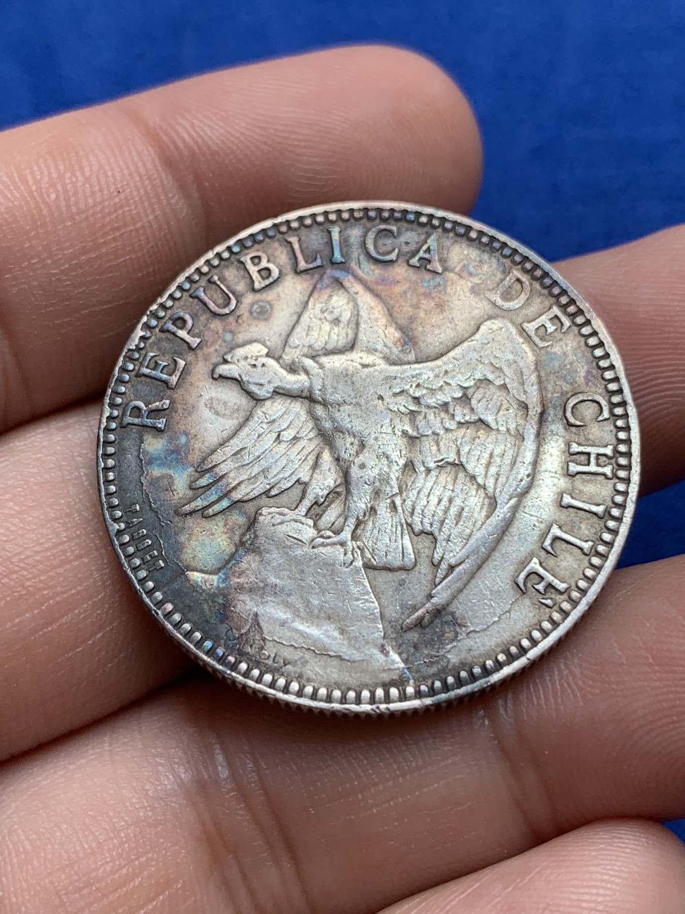 《竞宝斋》第196场-周日，周一 2场 (全场包邮) 1895年智利秃鹫1比索银币 改版后的首年版 有奥斯卡·罗蒂大师署名 被ngc判改变外表