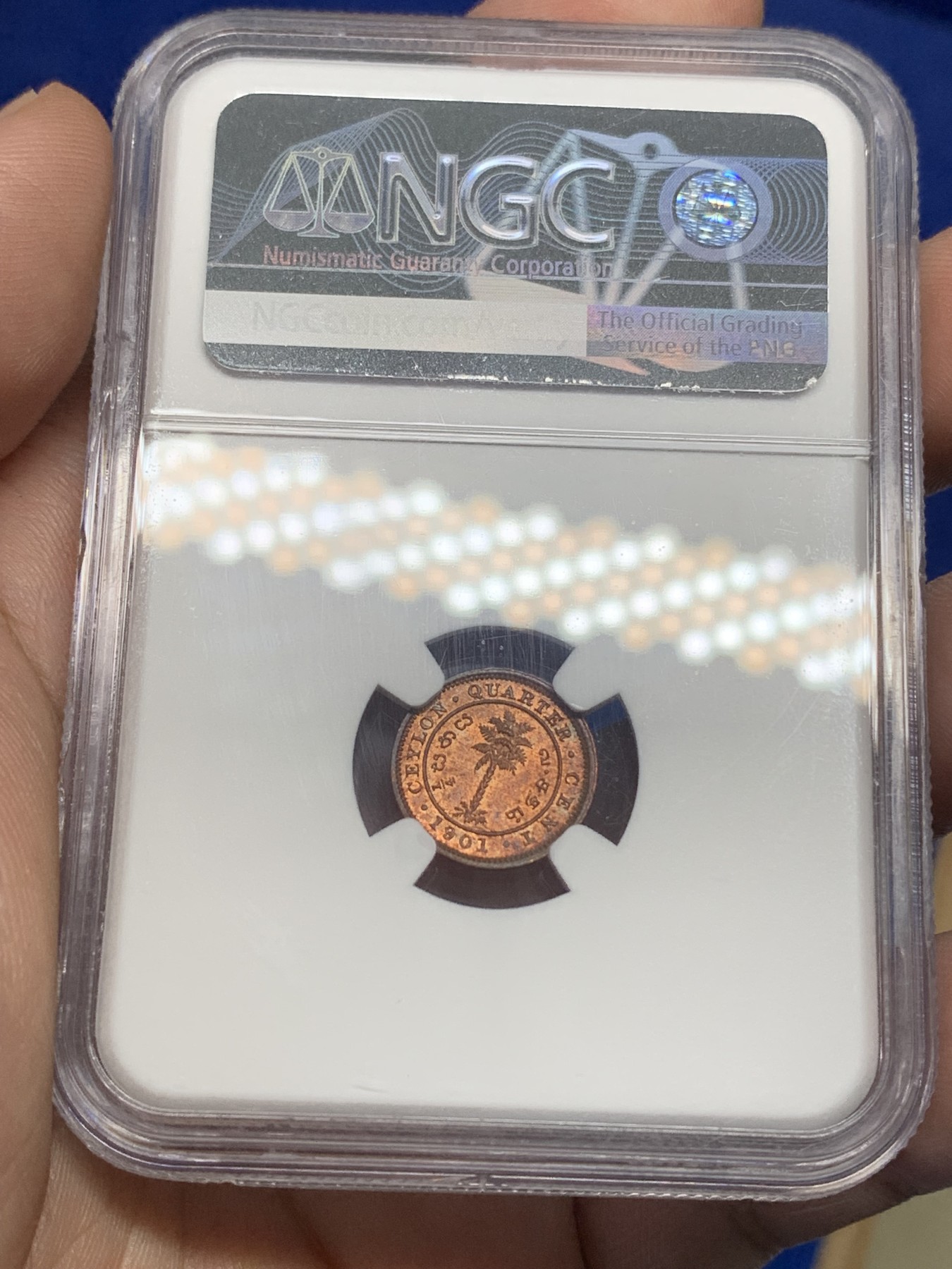 《竞宝斋》第196场-周日，周一 2场 (全场包邮) NGC-MS64RB 季军分 英属锡兰小维1/4分铜币，RB铜光靓丽，年轻女王头像，发丝细节完美。更高分仅3枚。