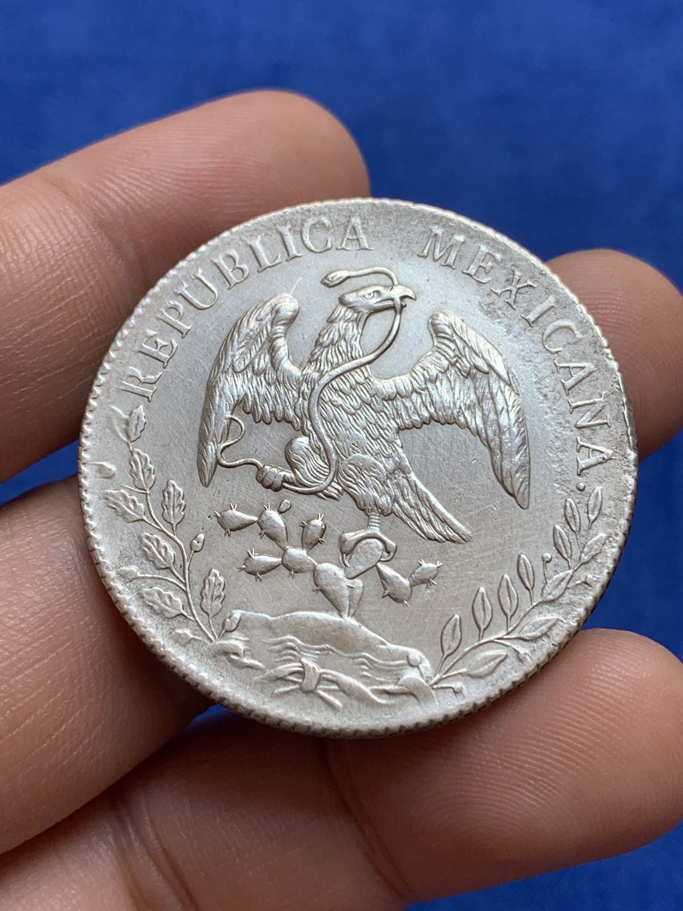 《竞宝斋》第196场-周日，周一 2场 (全场包邮) 墨西哥 1894年-CN 库利亚坎 8R 花边鹰洋 爆羽好品 较少见厂名 大银币