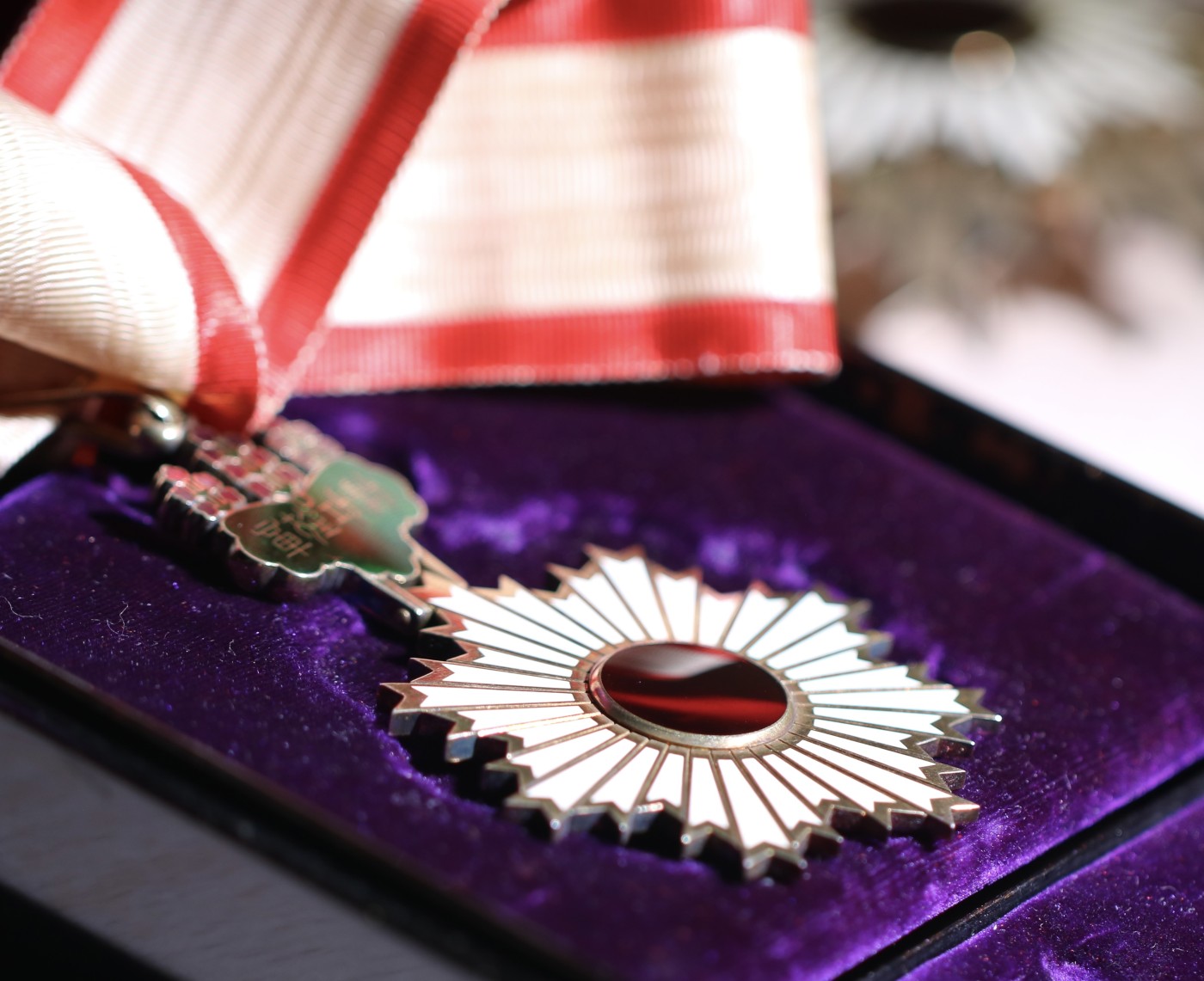 大猫徽章拍卖232期 勿忘国耻 二旭 全品