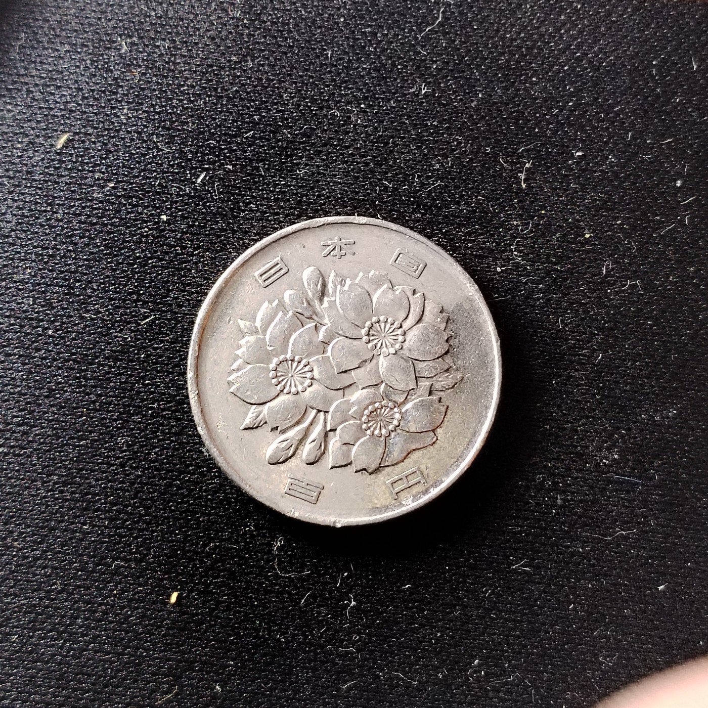 230911专场 100円