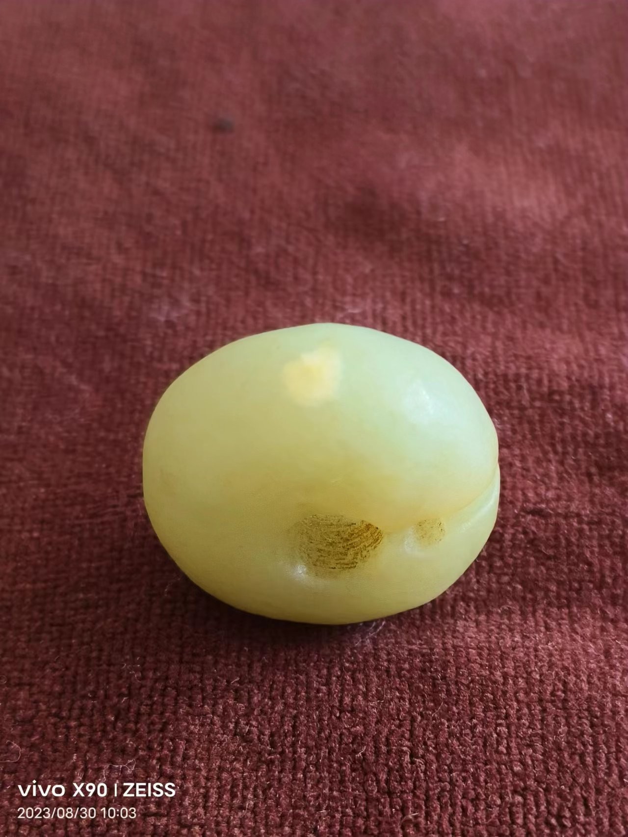 红山文化时期玉珏一对