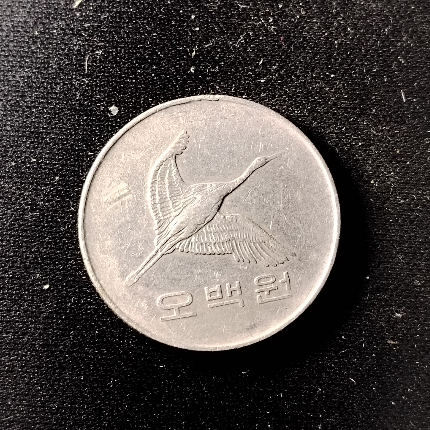 240301 韩国500