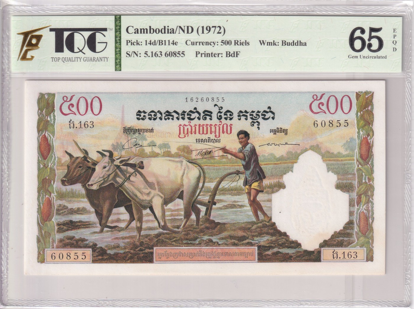 乐淘淘纸币精选 第19期  【5.163 60855】柬埔寨1972年纸币 500瑞尔 耕牛 法属风格 TQG65EPQ