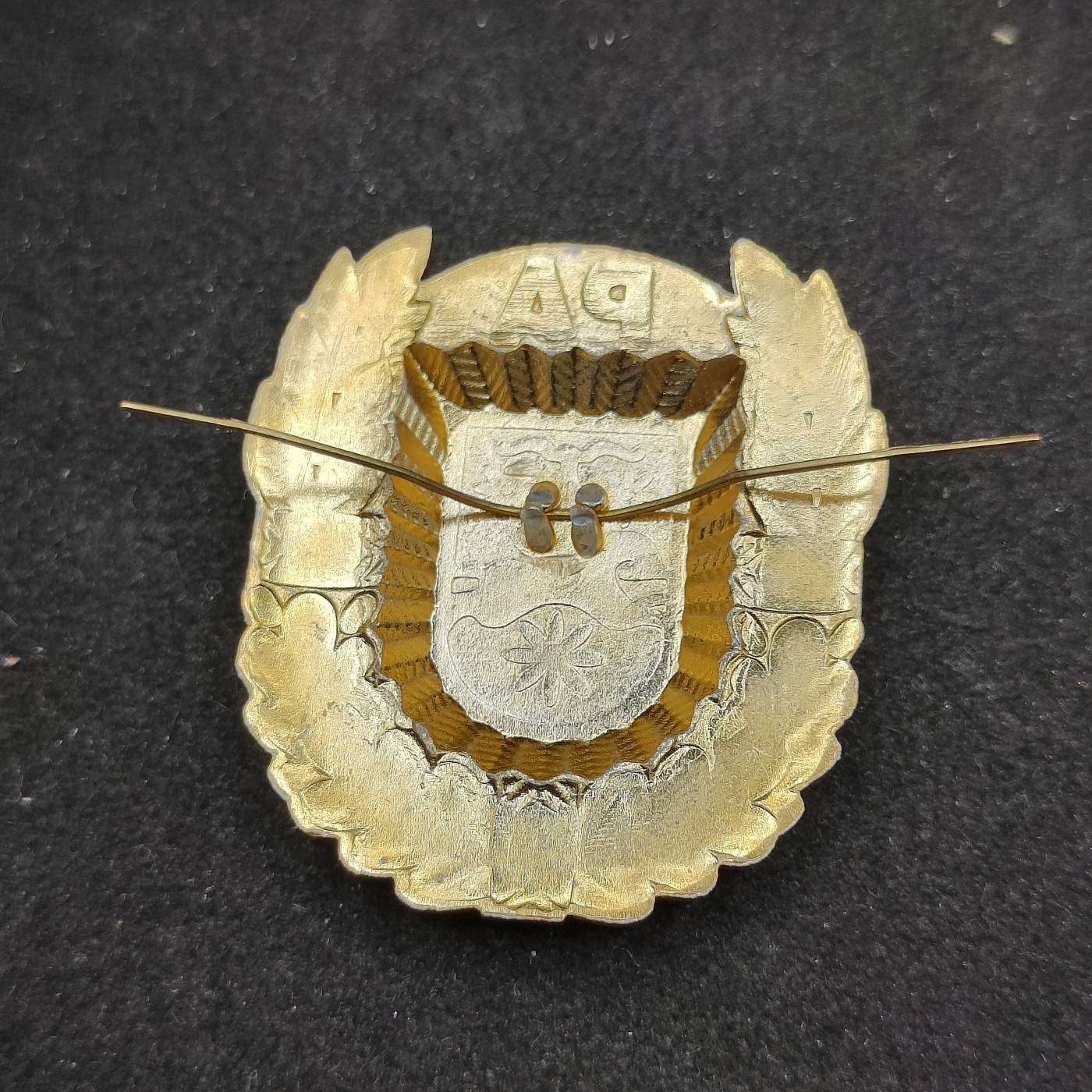 全场0元起拍 第91期 咸鱼国勋章拍卖专场 9月17日（周日）下午6：00开始 稀少 阿布哈兹共和国 格鲁吉亚/俄罗斯 帽徽