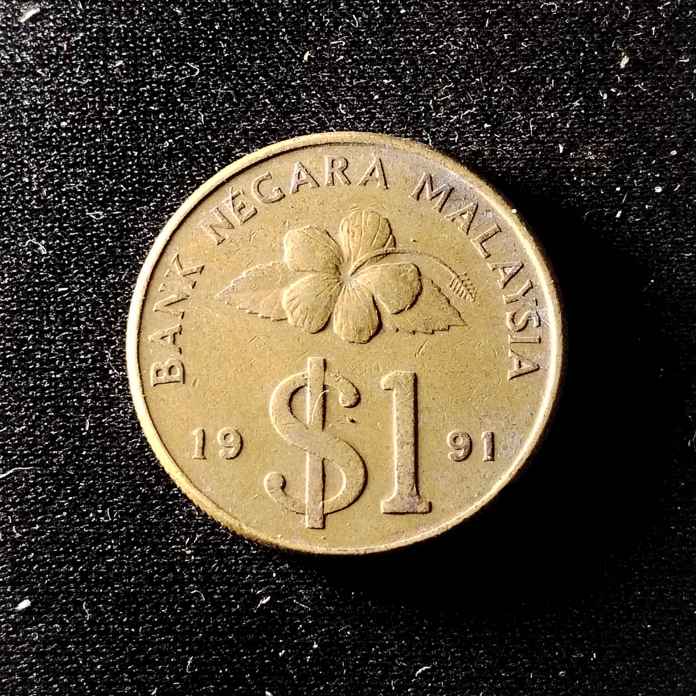 240301 马来西亚一元