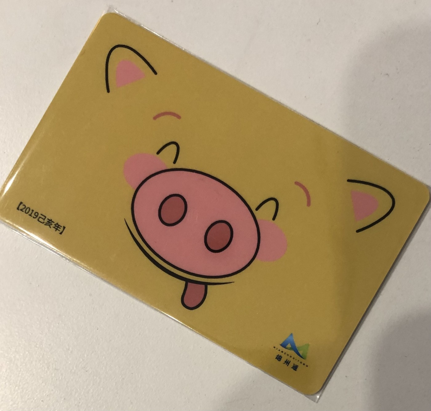 捡漏专场（一）生肖 绵州通 猪年生肖