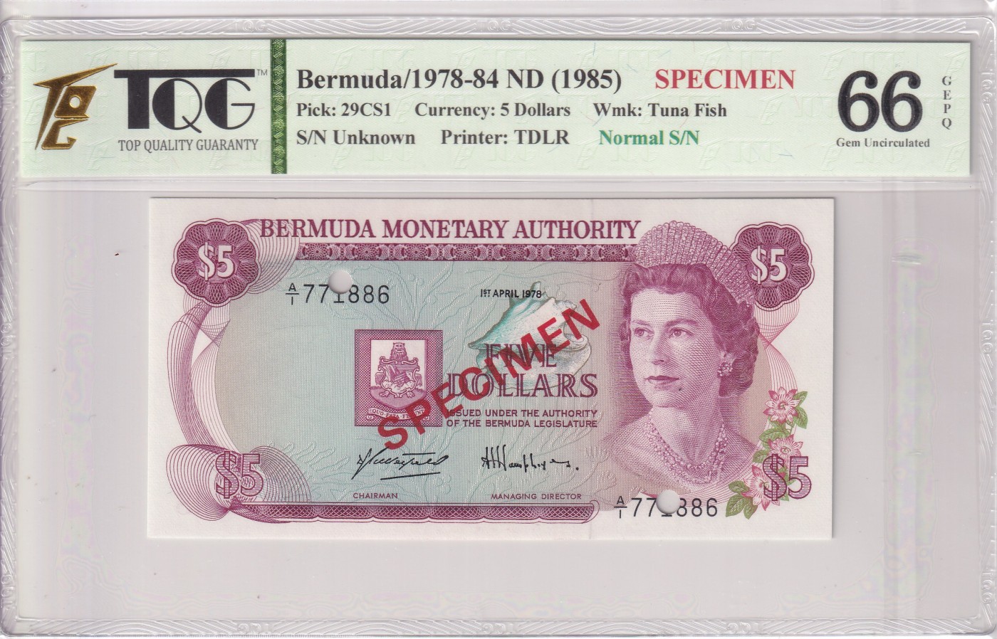 乐淘淘纸币精选 第19期  百慕大1978-84年纸币 女王钞 5元 打孔样钞 TQG66EPQ