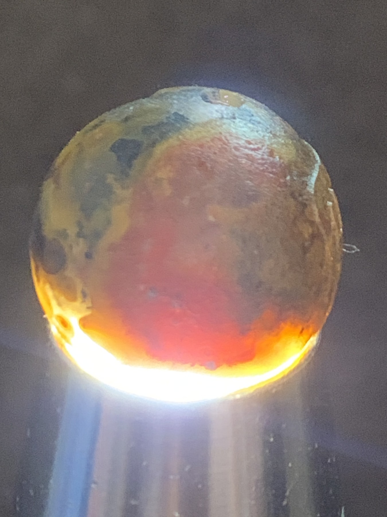 精美亚光高玉化原皮草花纹战国红玛瑙手工雕刻眼镜猴珠一颗