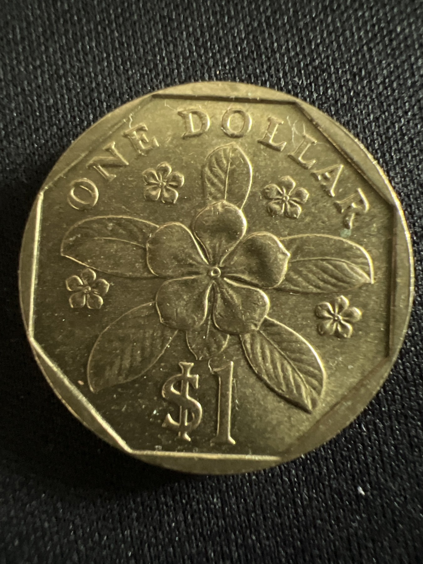 第407期 硬币专场 （无押金，捡漏，全场20包邮，偏远地区除外，接收代拍业务） 新加坡一元