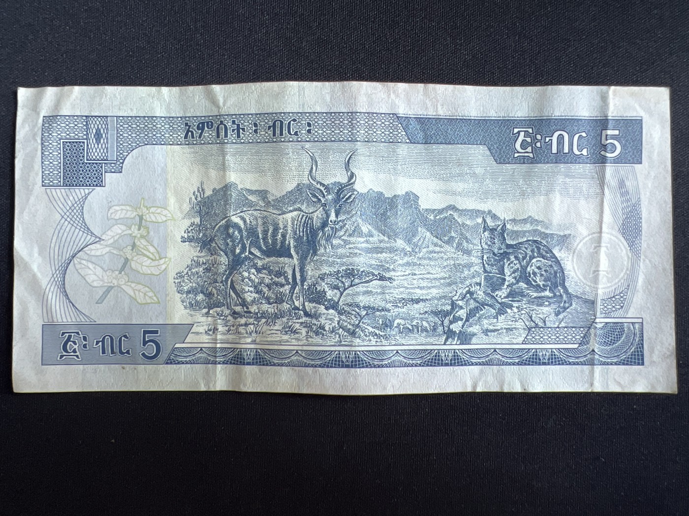第408期 纸币专场 （无押金，捡漏，全场20包邮，偏远地区除外，接收代拍业务） 埃塞俄比亚5比尔