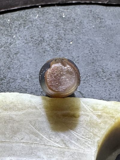 精美亚光高玉化巴西玛瑙手工俏色巧雕金鱼吊坠（把件）一个！ 精美亚光高玉化巴西玛瑙手工俏色巧雕金鱼吊坠（把件）一个！