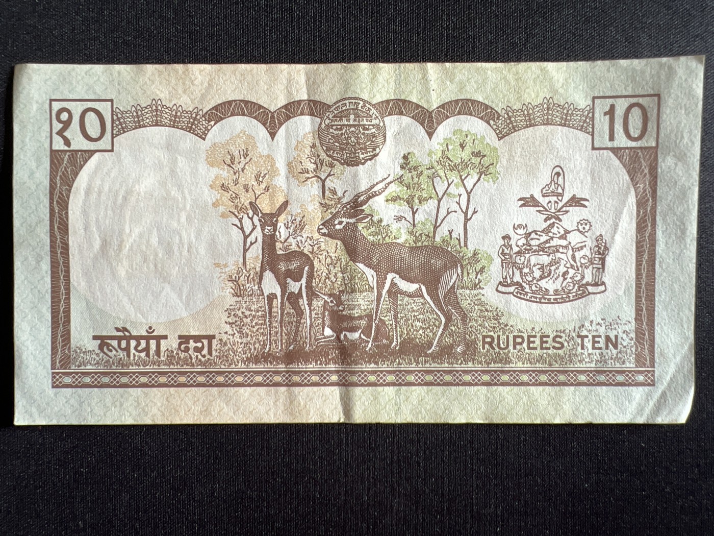 第410期 纸币专场 （无押金，捡漏，全场20包邮，偏远地区除外，接收代拍业务） 尼泊尔10卢比