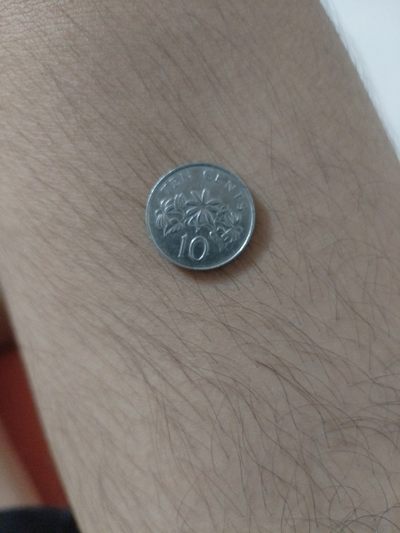 初雪11期 - 新加坡