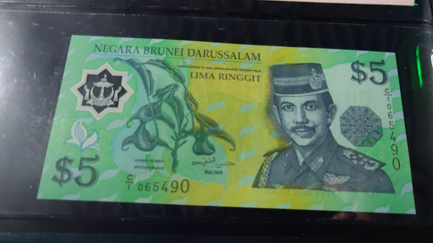 【世界钱币】精选微拍第70期暨2023年第十七期 多款塑料钞裸币超低价起拍 1996年文莱5林吉特 全新绝品