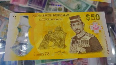 【世界钱币】精选微拍第70期暨2023年第十七期 多款塑料钞裸币超低价起拍 2017年文莱50林吉特塑料纪念钞 全新绝品无4