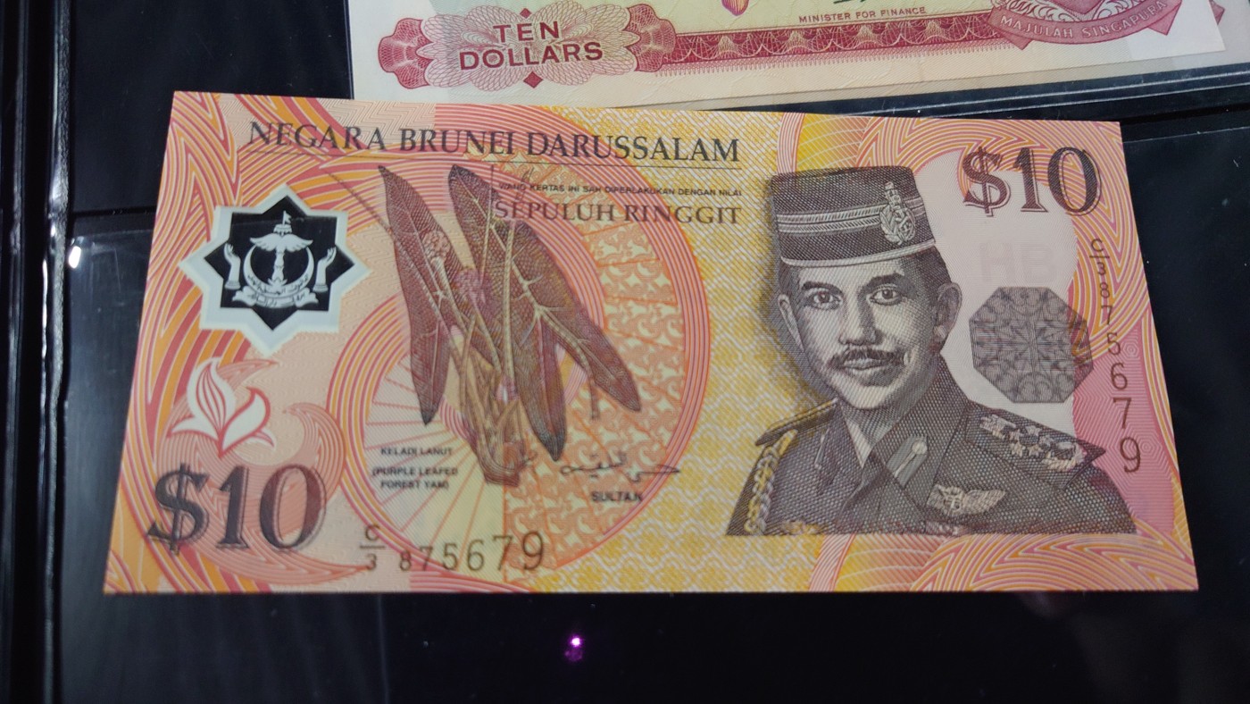 【世界钱币】精选微拍第70期暨2023年第十七期 多款塑料钞裸币超低价起拍 1996年文莱10林吉特 全新绝品无4