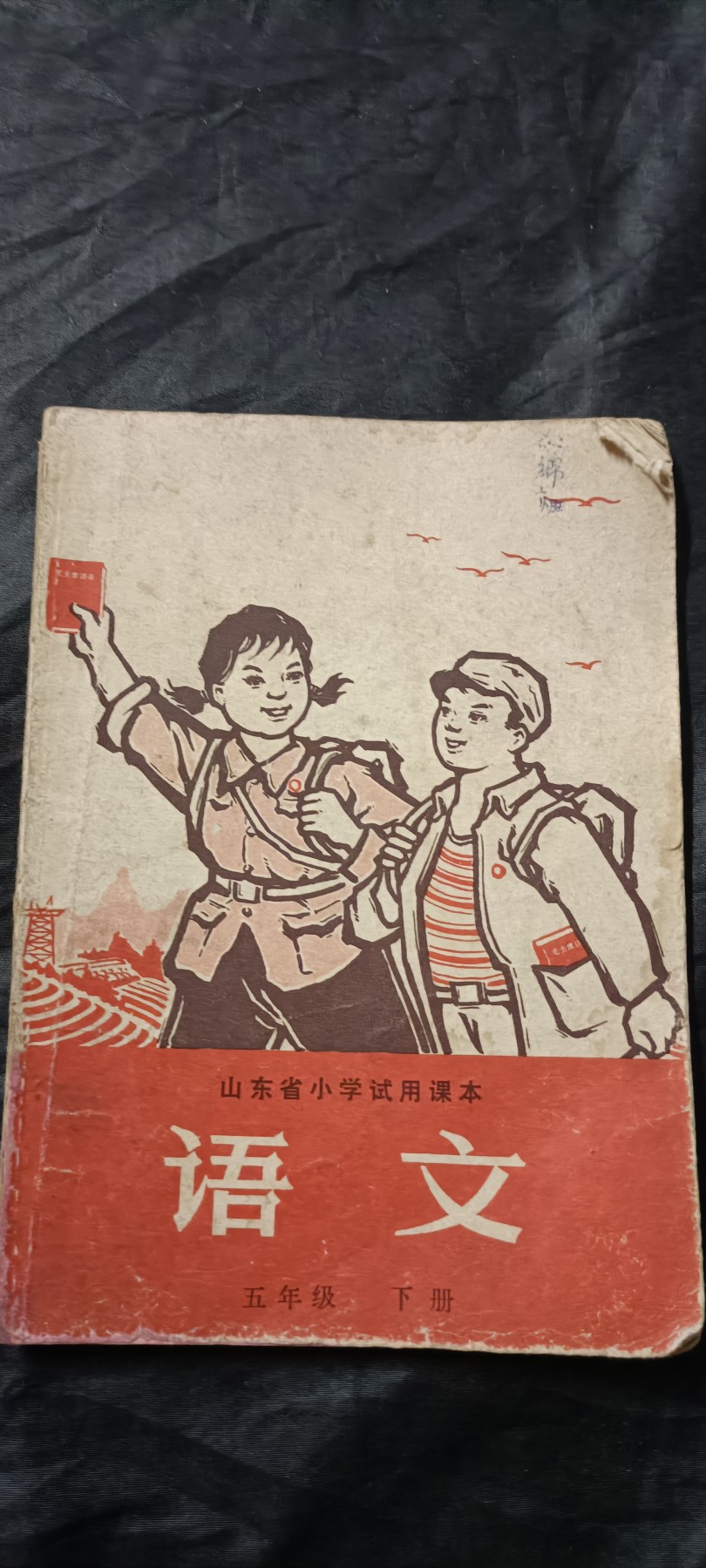 全场0起放漏！60个拍品总有你喜欢的 wegame语文课本,带漫画，课后习题