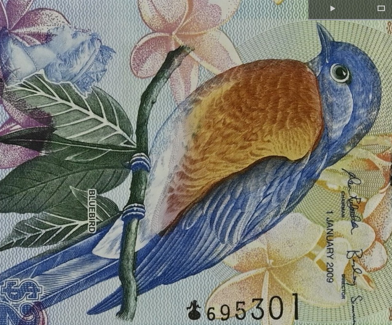 《张总收藏》119期-外币精品汇-国庆假期前高货特别场 百慕大2009年2元首发洋葱冠PMG67E高分难评 无47靓号，经典蓝鸟，IBNS世界最佳纸币获奖钞