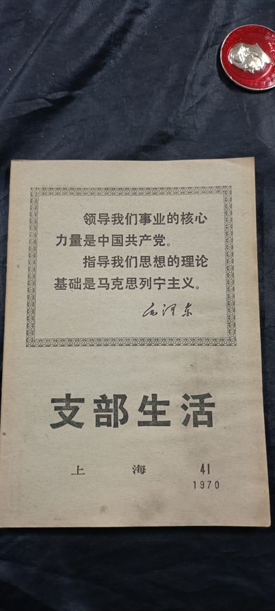 全场0起放漏！60个拍品总有你喜欢的 - 1支部生活