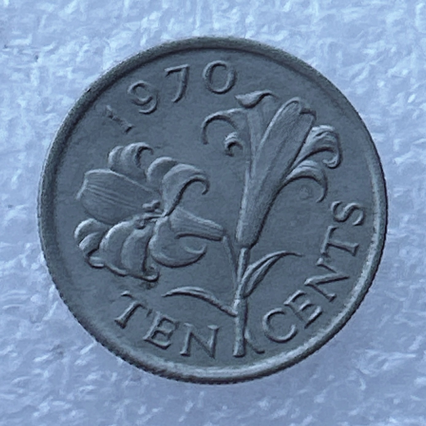 全场一元起拍 世界钱币散币场 第24期 百慕大1970年年10分硬币  伊丽莎白