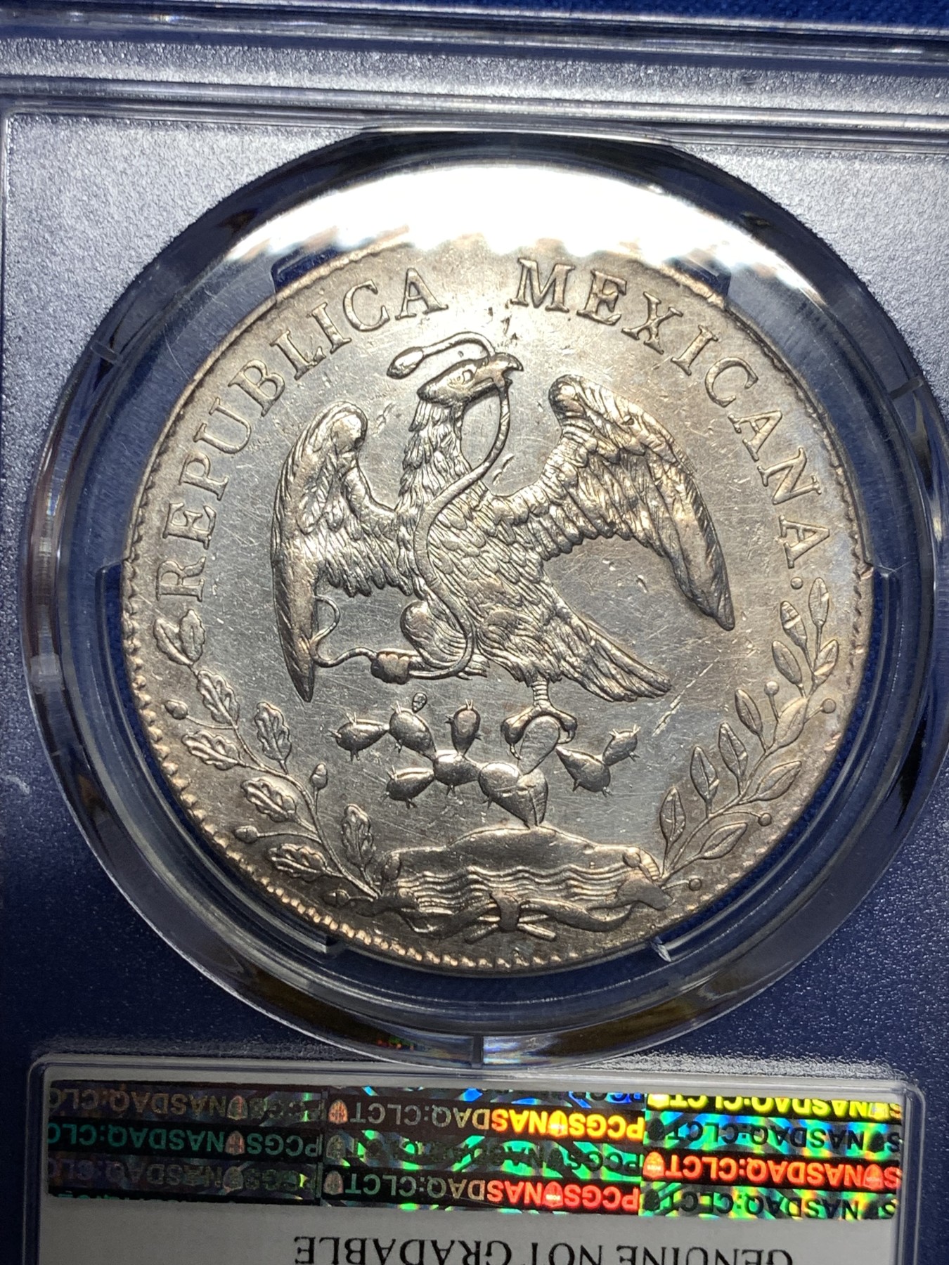 《竞宝斋》第198场-周日，周一 2场 (全场包邮) PCGS UNC 墨西哥1893年花边鹰洋8瑞尔银币 状态不错