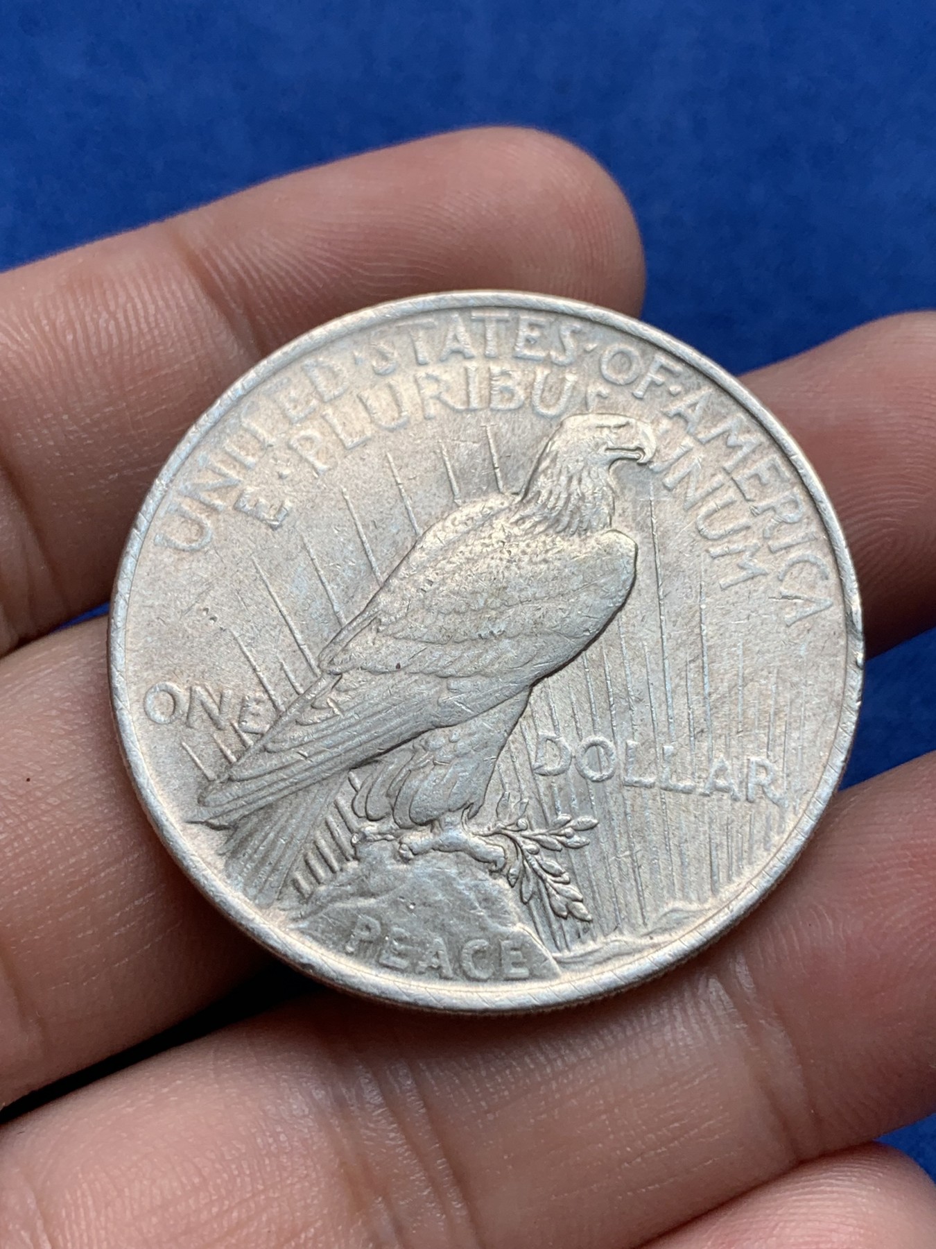 《竞宝斋》第198场-周日，周一 2场 (全场包邮) 美国 1923年 和平女神1元银币