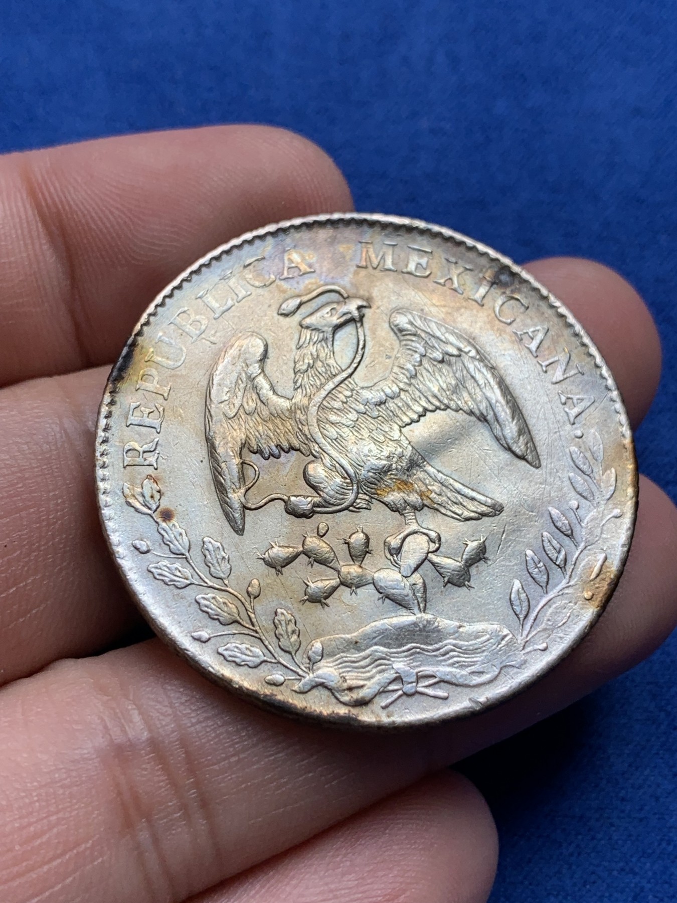 《竞宝斋》第198场-周日，周一 2场 (全场包邮) 墨西哥花边鹰洋八瑞尔银币  1894年zs厂  有洗过 全羽 细节见图