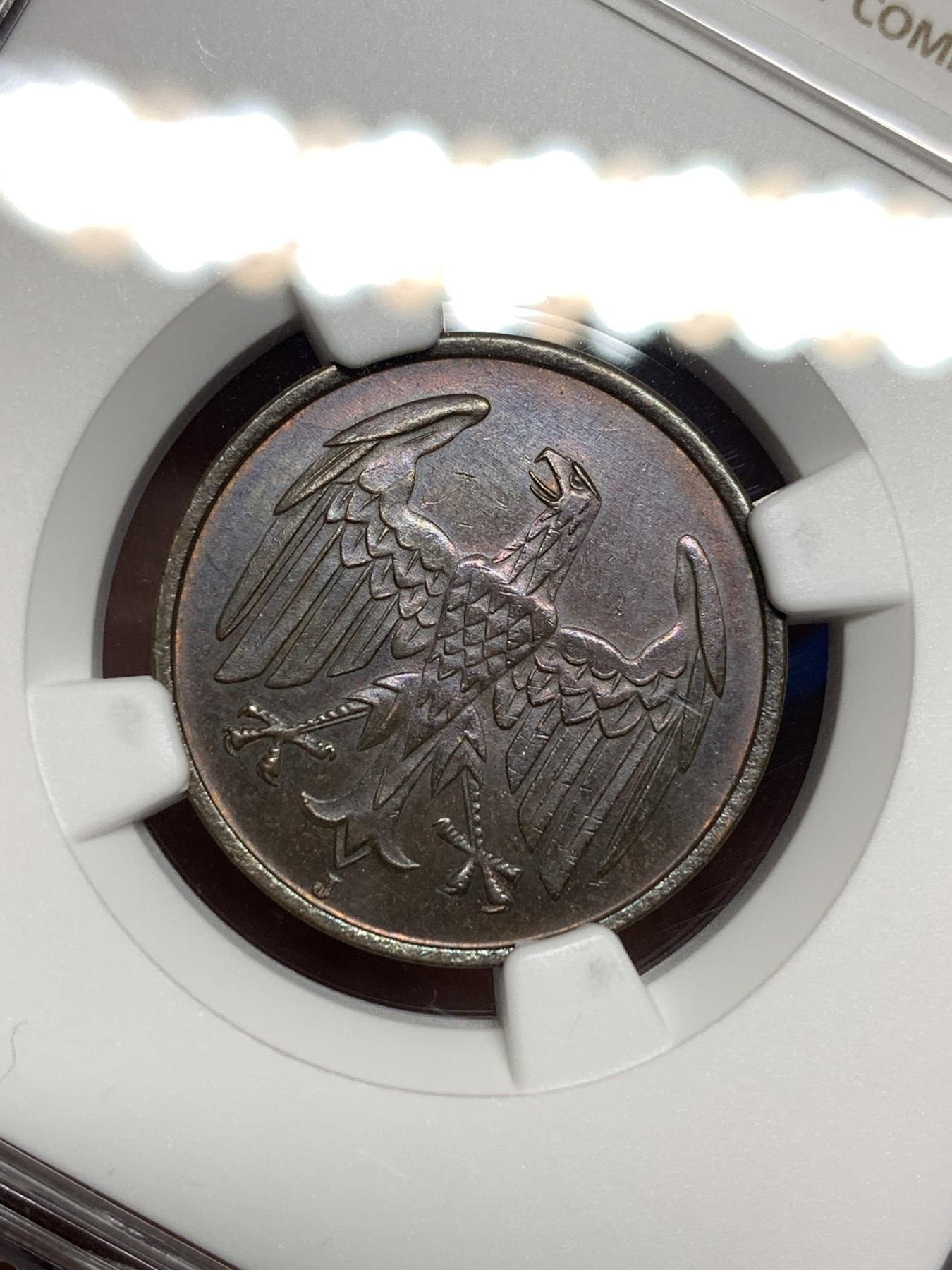 《竞宝斋》第198场-周日，周一 2场 (全场包邮) NGC MS62BN 1932J德国4芬尼铜币 漂亮的巧克力色