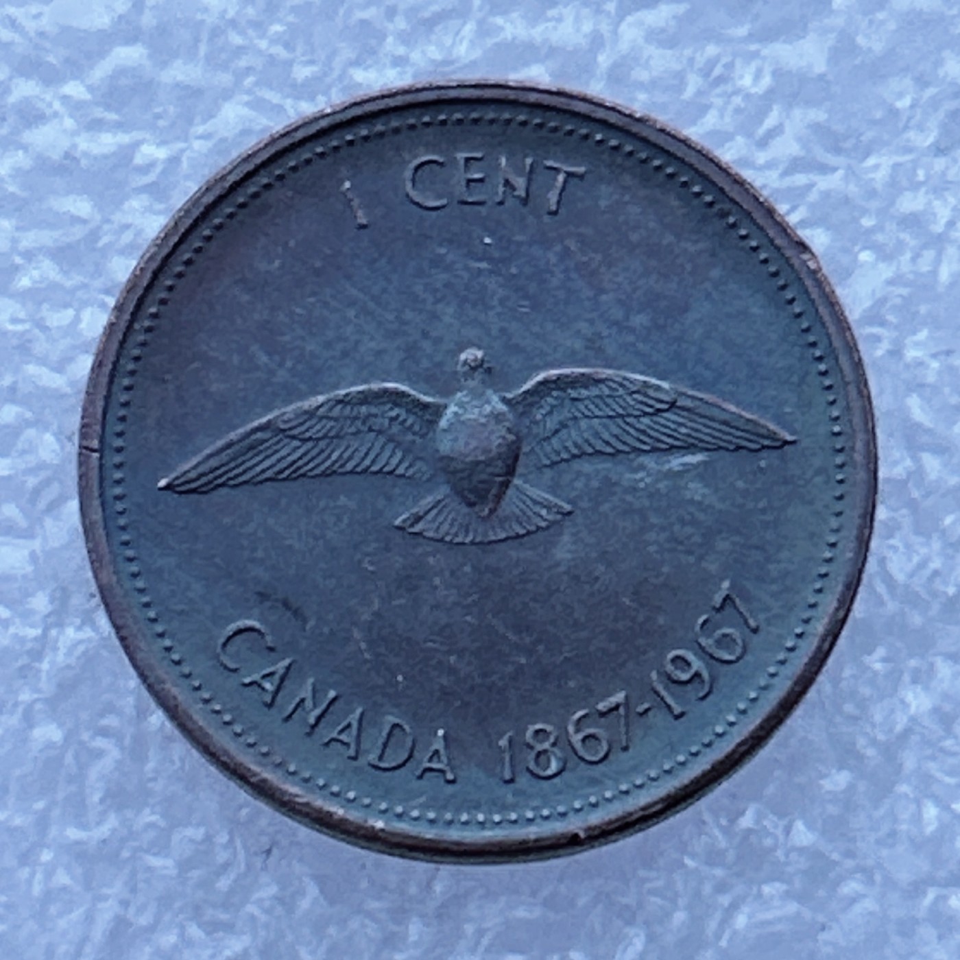 全场一元起拍 世界钱币散币场 第24期 加拿大1分海鸥 1967年联邦100年纪念币