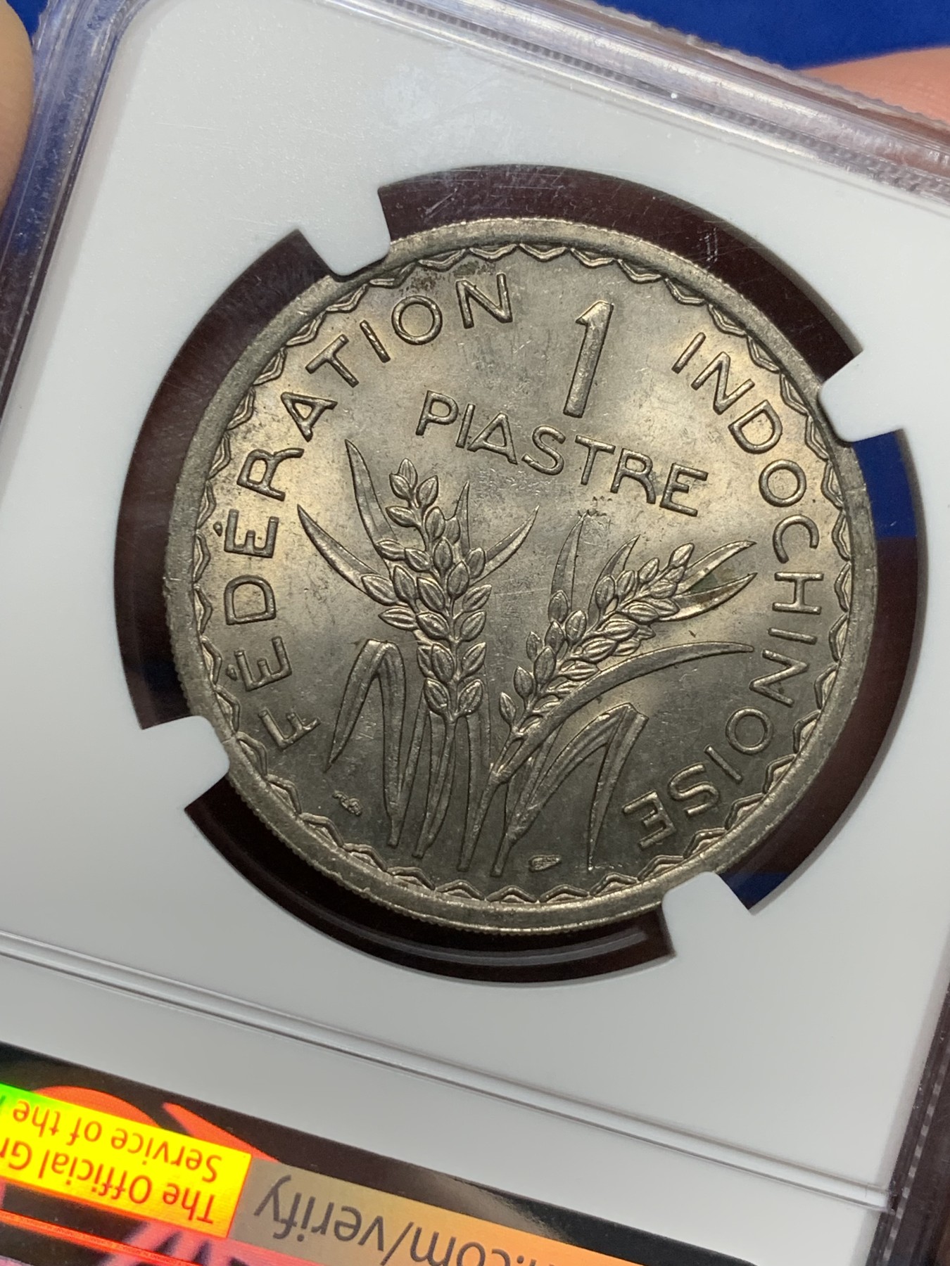 《竞宝斋》第198场-周日，周一 2场 (全场包邮) NGC MS63 法属印支1946年大镍币 安全边 高分稀少品种