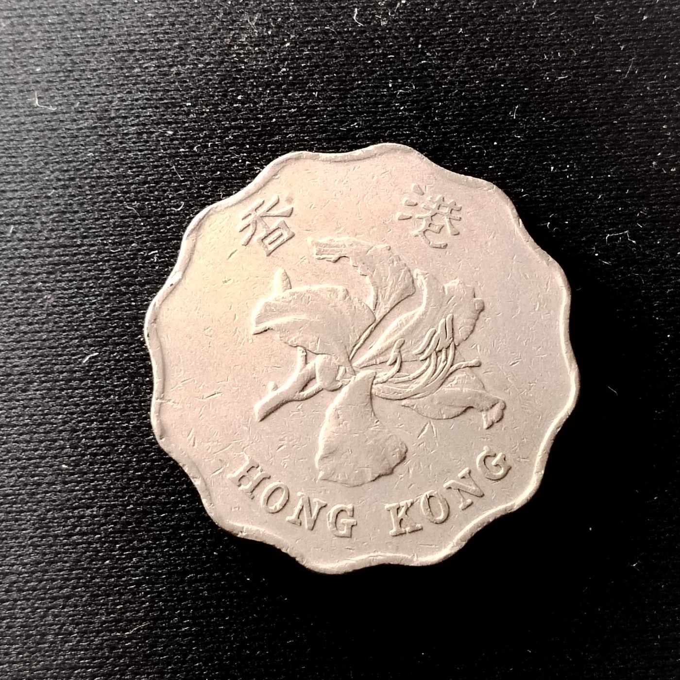 230917 港2